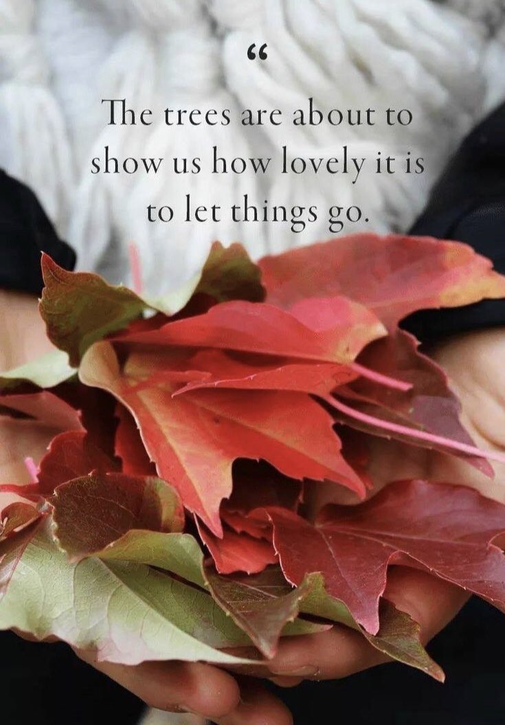 Jrito15's tweet photo. 🍂♥️ https://t.co/FuFqRYxHWU