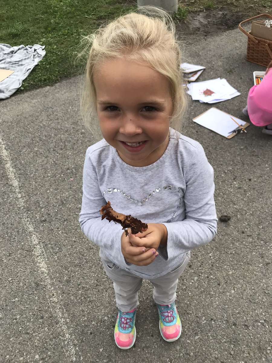 CaitlinHogg1's tweet photo. Thanks for the activity @JacobRodenburg1 and @COEOoutdoors ! We each found a fallen leaf and used our 5 senses to describe it! #crinkly #soft #bumpy #smellsfresh #smellslikedirt @DiamondTrailPS https://t.co/mzMXZAHEJM