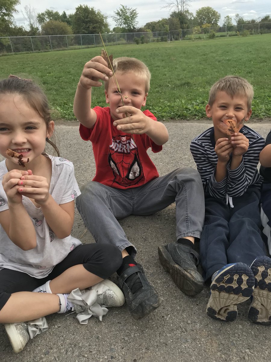 CaitlinHogg1's tweet photo. Thanks for the activity @JacobRodenburg1 and @COEOoutdoors ! We each found a fallen leaf and used our 5 senses to describe it! #crinkly #soft #bumpy #smellsfresh #smellslikedirt @DiamondTrailPS https://t.co/mzMXZAHEJM