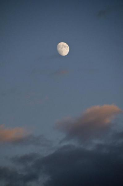 online the great preposition mystery