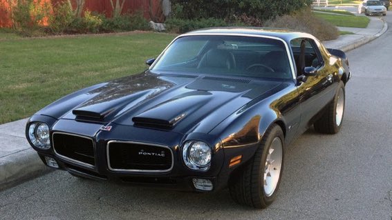 LeeStix's tweet photo. #mean #nasty #aggressive #bullnose #TA https://t.co/VoJOAigVOs
