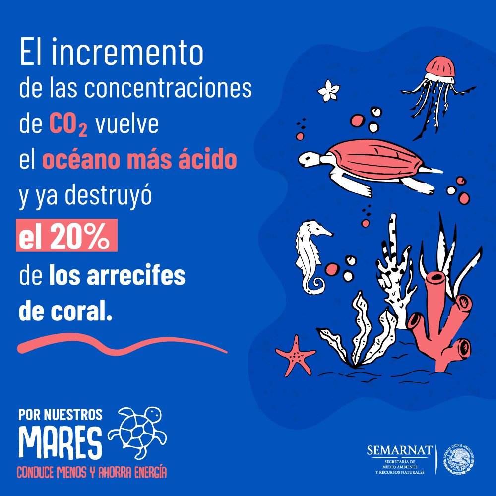 Globalmediamx's tweet photo. #México a través de su participación en la @CMNUCC, coadyuva a la reducción de emisiones de CO2 a la atmósfera para disminuir la acidificación de los #mareslimpios. 

https://t.co/FEaEHsKQHU https://t.co/6rdfuzhCH2