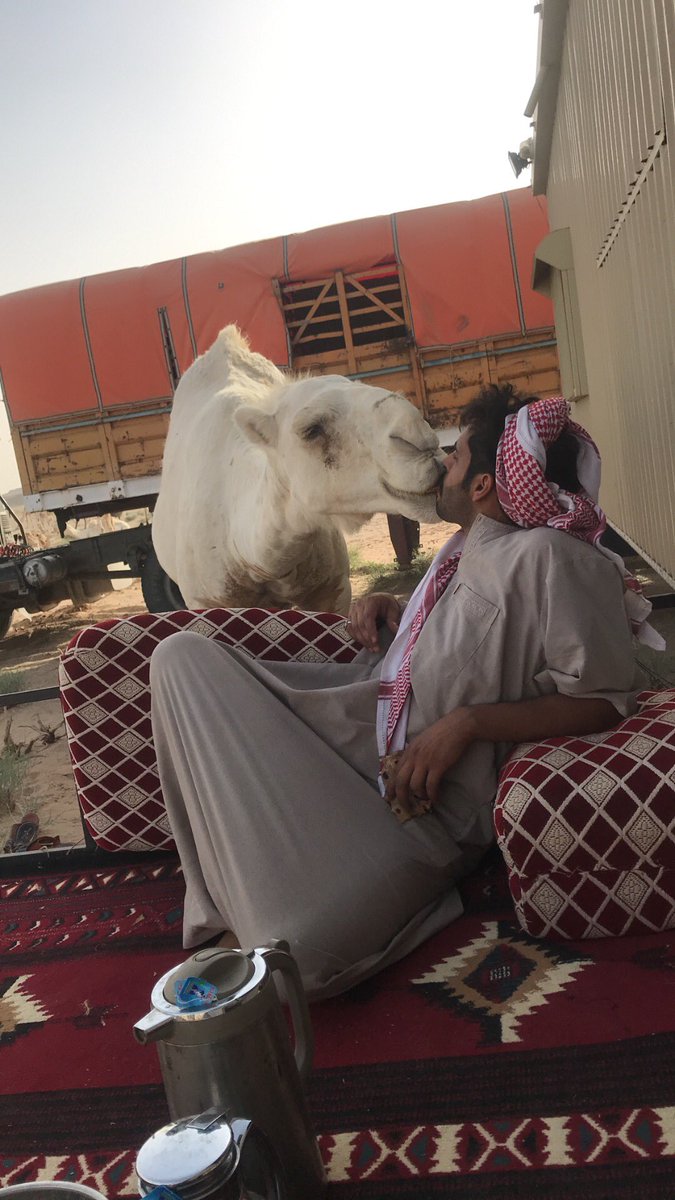 111_zeyad's tweet photo. #طبع_مستحيل_تغيره السلام على المزيونه ذي https://t.co/Q5JjtwaqmW