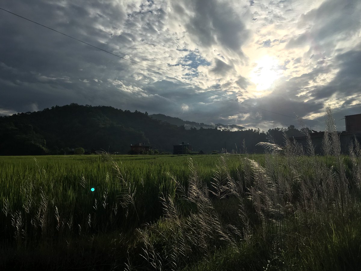 Time is coming to an end, soon I’ll return to Europe, but this spot will always have a place in my heart #agriterra #nepal #rupalake