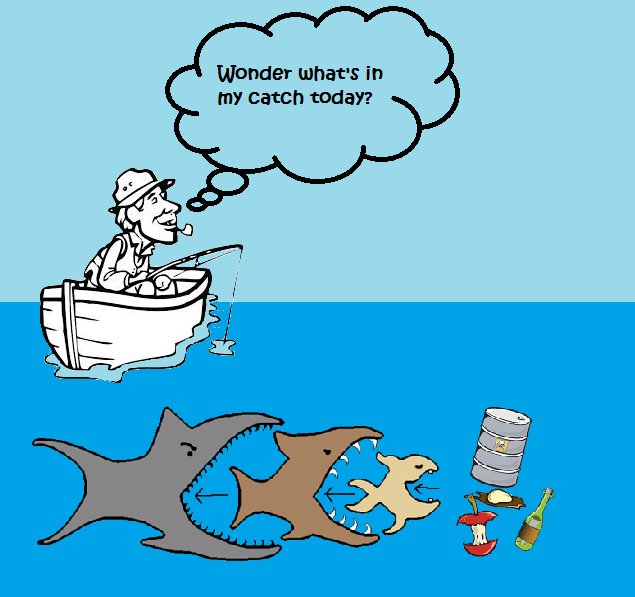 oceancleanupsqd's tweet photo. Chemicals used in plastic get washed into the rivers and are carried into the ocean. These chemicals do not get dissolved and sink at the bottom of the ocean. Small animals ingest these chemicals and are later eaten by large animals, which then affects the whole food chain. https://t.co/VjmOre60jk