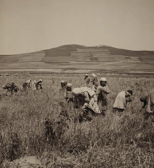 syria_throwback's tweet photo. Alawite women and children gleaning, early 20th century. #Syria https://t.co/p3VRbBL7k0