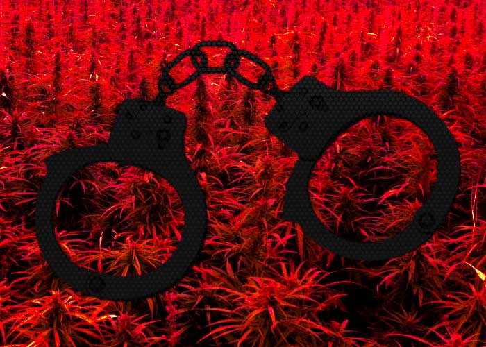 mmjresources's tweet photo. New statistics show an increase in cannabis-related arrests in spite of legalization efforts. #marijuanalaw - https://t.co/tXtzaNshil https://t.co/3o5R6uWQPN