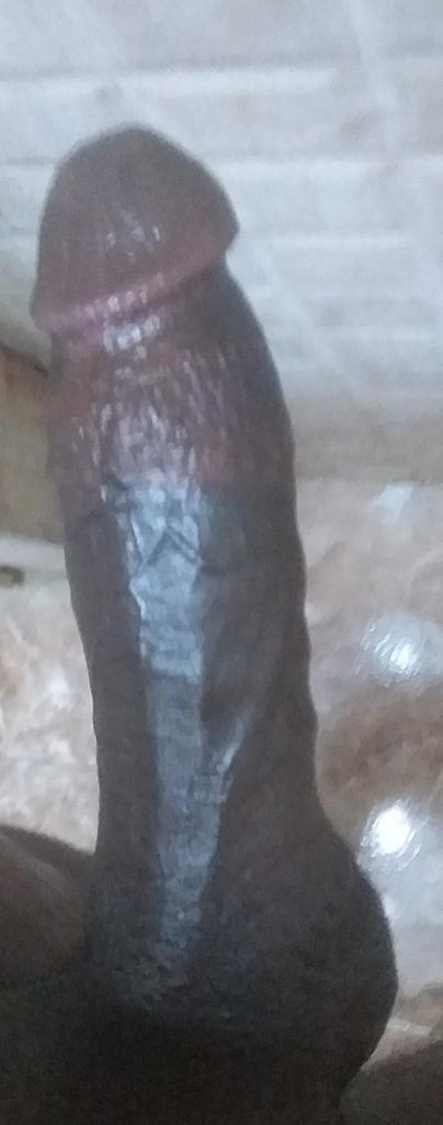 وين ناس الداير بني مالك في حد مشتهي زب او لا