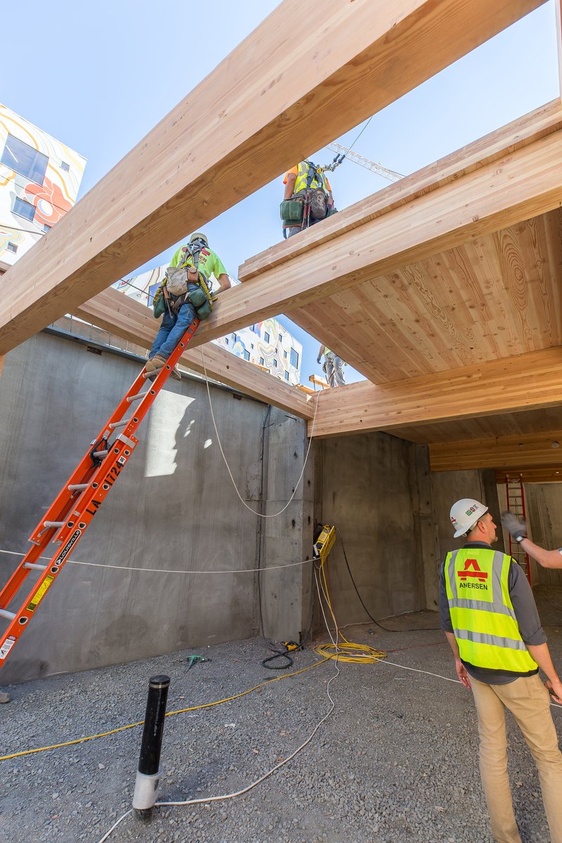 catena consulting engineers tweet media