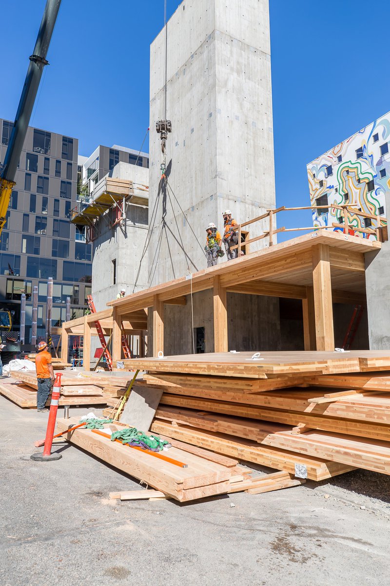 catena consulting engineers tweet media