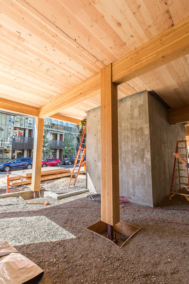 catena consulting engineers tweet media