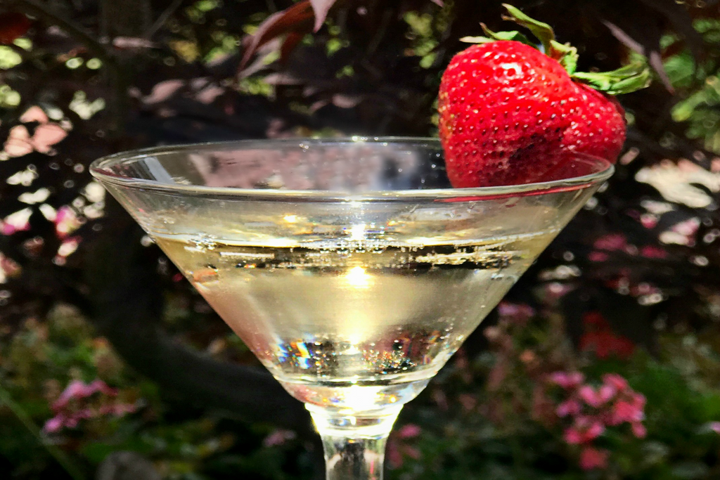 always5star's tweet photo. Add a little sparkle to your #Martini with this #Delicious #Always5Star recipe for a Champagne Martini 🌟🌟🌟🌟🌟
https://t.co/5FNnh4pkaY
#Champagne #Mojito #cocktailrecipe #RecipeOfTheDay #Givemeanother https://t.co/6rbOQZKuDL