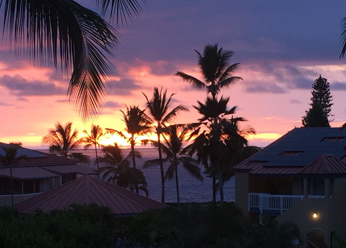 Back home in Hawaii...my current view