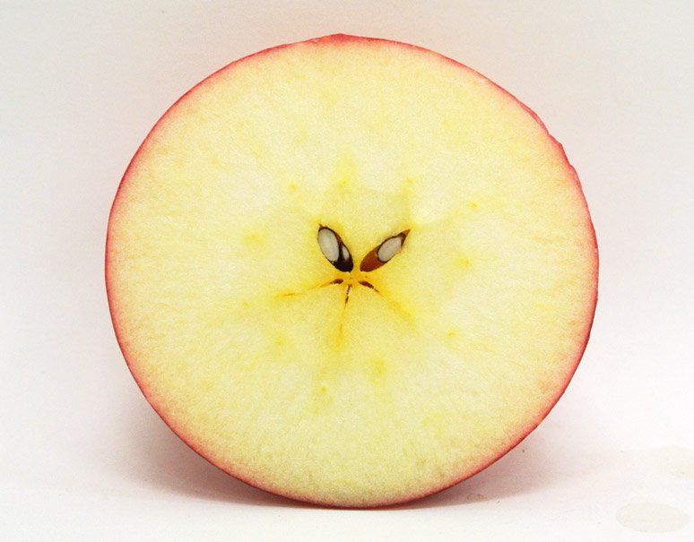 林檎の断面図 Ver 03 林檎の家系図18への道のり