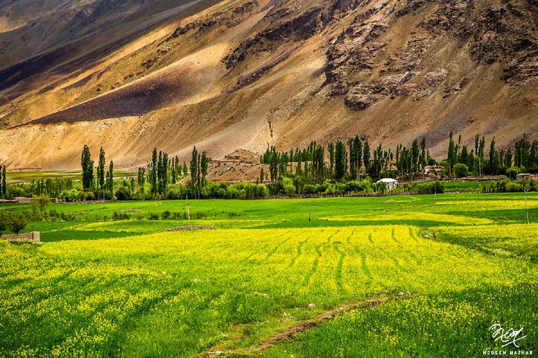 wearemcom's tweet photo. Ghizer is a crossroads between Gilgit and Chitral, and also to China and Tajikistan via the Karambar Pass through Ishkomen/Darkut Yasin.
Ghizer comprises Punial, Gupis, Yaseen and Ishkoman Valleys.

Borrowed: @Pakistaninpics https://t.co/Bk0pw36IPl