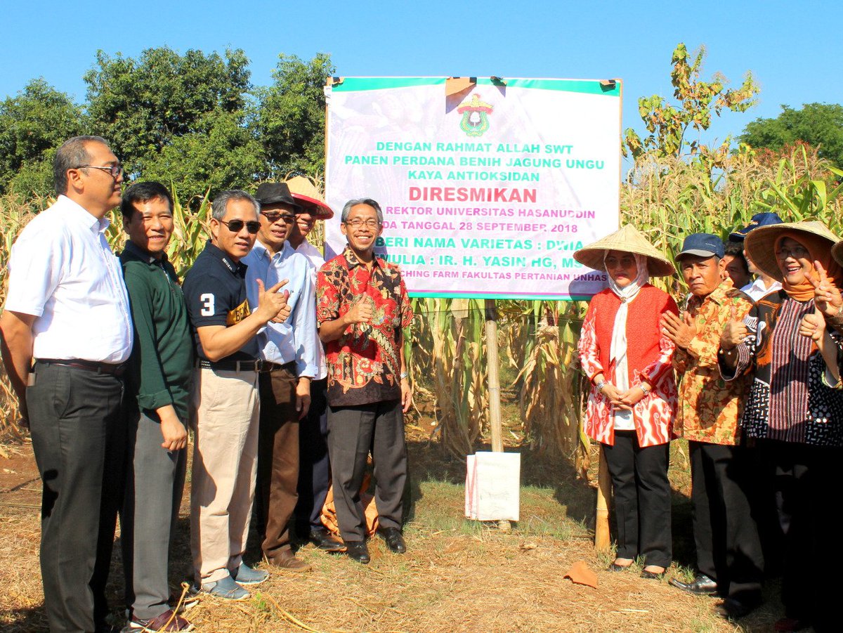 ditjen_inovasi's tweet image. Panen Perdana Benih Jagung Ungu, Hasil Inovasi Fakultas Pertanian.

Selengkapnya : bit.ly/2xLzHFo

#inovasiindonesia #kemristekdikti #unhas