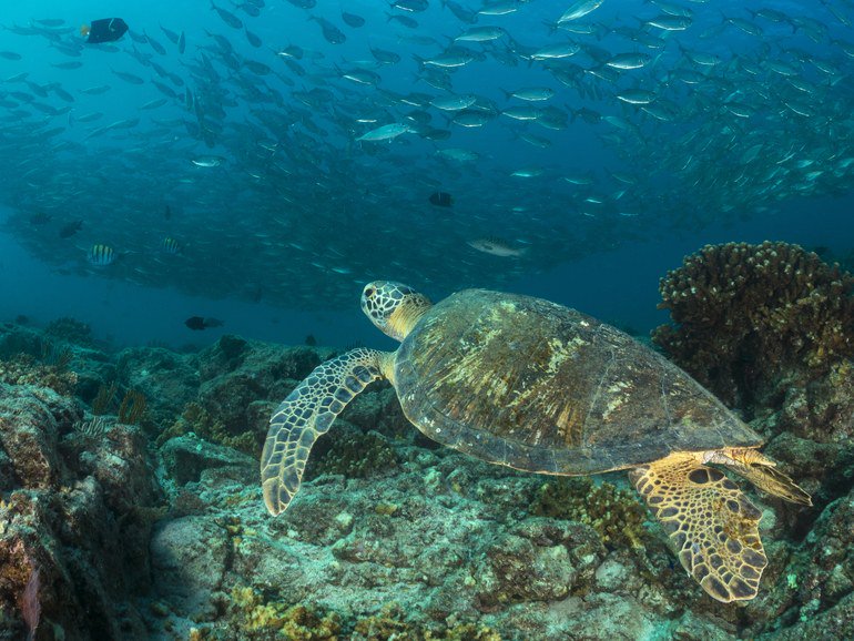 10 destinations that prove being near the water makes you happy cntrvlr.co/IdTjsav