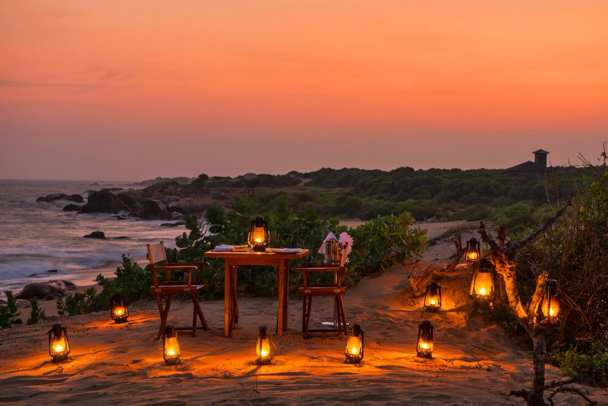 TourBlueLive's tweet photo. Featured Resort - Chena Huts by Uga Escapes, Yala, Sri Lanka
#featuredproperties #Yala #chenahuts #wildlifesrilanka #JungleFeel #luxuryboutiquehotel #visitsrilanka #Pearloftheindianocean #tourblue #instapassport #srilanka #jungleandsea #dreamvacation #Mustvisitlocations #blogger https://t.co/0HIa3hmxNF