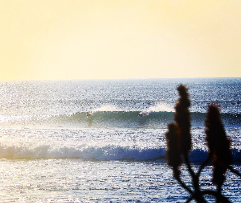 “In the end, 
we only conserve what we love 
we only love what we understand 
and we will understand only what we are taught” - Baba Dioum 
————
#totam #surf #surfbrand #surfwear #surfing #durban #southafrica #showtheworld