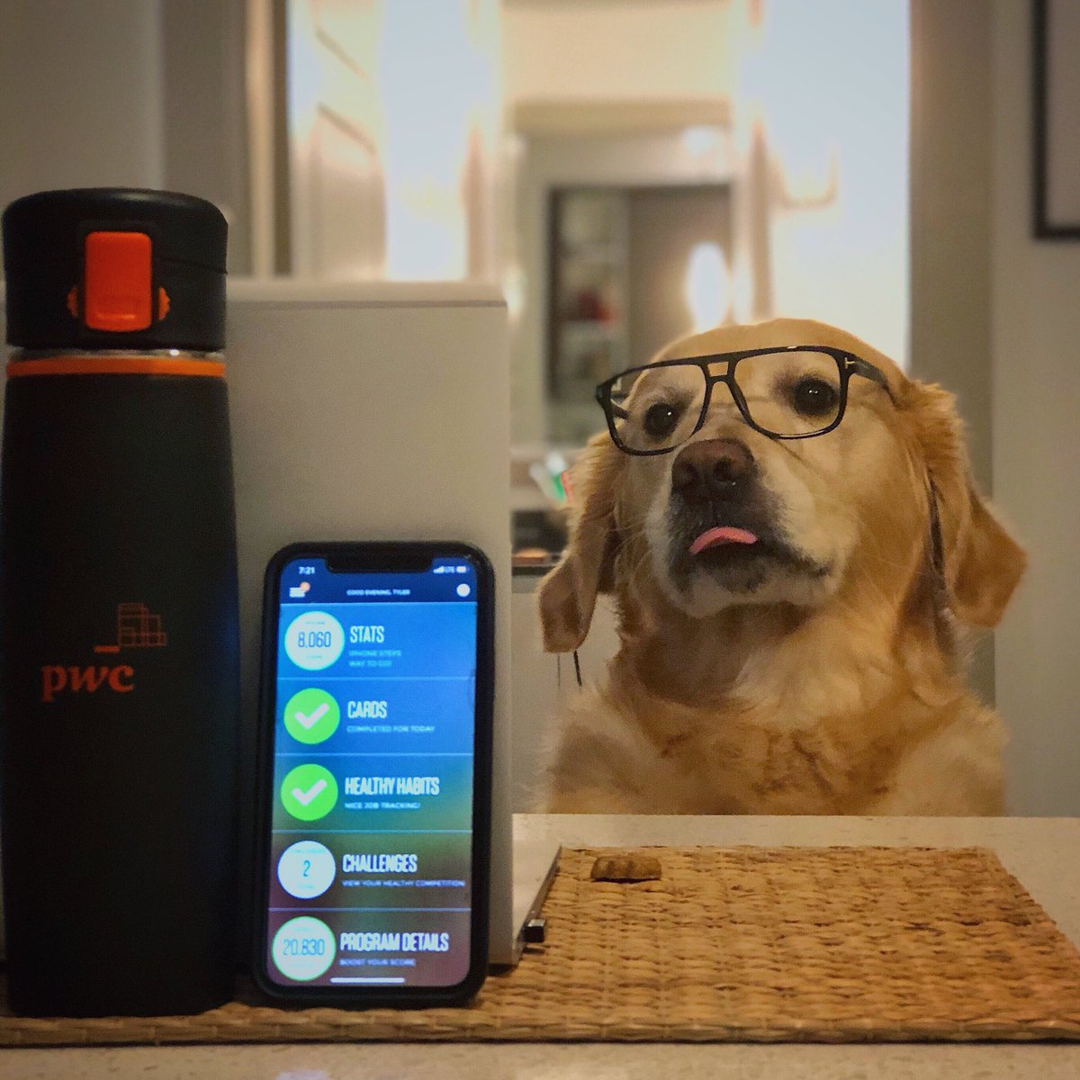 EnglishG_Kobe's tweet photo. Why am I #AuditorProud? Because #PwC cares about my healthy habits enough to make this cool new well being app! 🐕 Does this mean I have to limit my snack intake? 🧐 @PwC @tyler_parenti https://t.co/MBVOb8ScFM