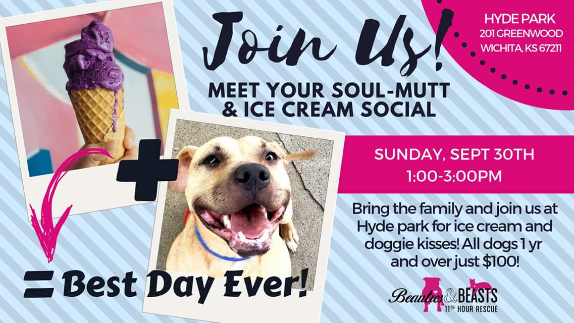 Dont forget about our ice cream social Sunday.  Will have amazing dogs, all if our dogs over a year are only $100. Will have puppies and new merchandise.  Come out and see us!