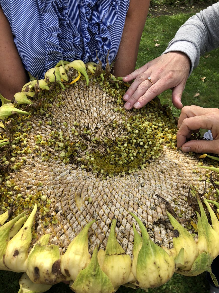 UCLSHomeEc's tweet photo. Inspired and renewed by a visit to @TOGgardens’ Middlefork Farm in Northbrook today. Thanks to @knahrwold and @GreenSchoolsIL for setting it up! https://t.co/igSdC2T4xe