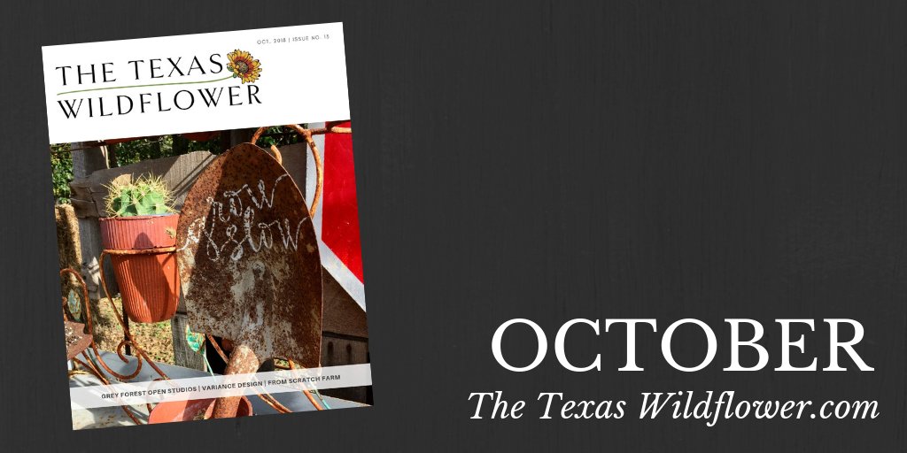 WildflowerTxMag's tweet photo. Our new #Texas Hill Country stories were sent to newsletter subscribers earlier--and then BAM! we had our highest traffic day EVER. Come see what people are reading at https://t.co/eyc7idRF28 Thx to @ScienceMill and @SanctuaryBoerne for sponsoring! #satx #boerne #explorejc #atx https://t.co/5byYHmrnXI