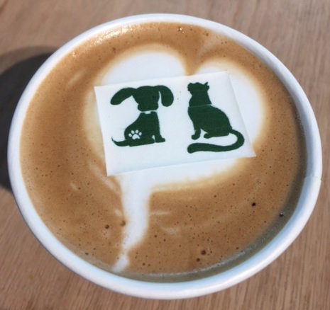 EspressoBella's tweet photo. Enjoyed #coffee #catering for @PetSmart #WheresYourWhiteTie #BeverageBranding #BaristaView https://t.co/gYdZ8v211d