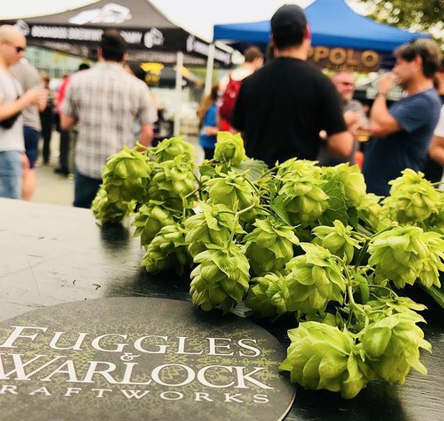 bchopco's tweet photo. Do you know what a Fuggle is?... Come to #BCHopFest2018 and find out! // Come see what magical beer @fuggleswarlock has been brewing up this year! #freshbeerfestival https://t.co/z4v7ZDkgbQ https://t.co/a8oo8hJIqV https://t.co/gYH1AV0ze2