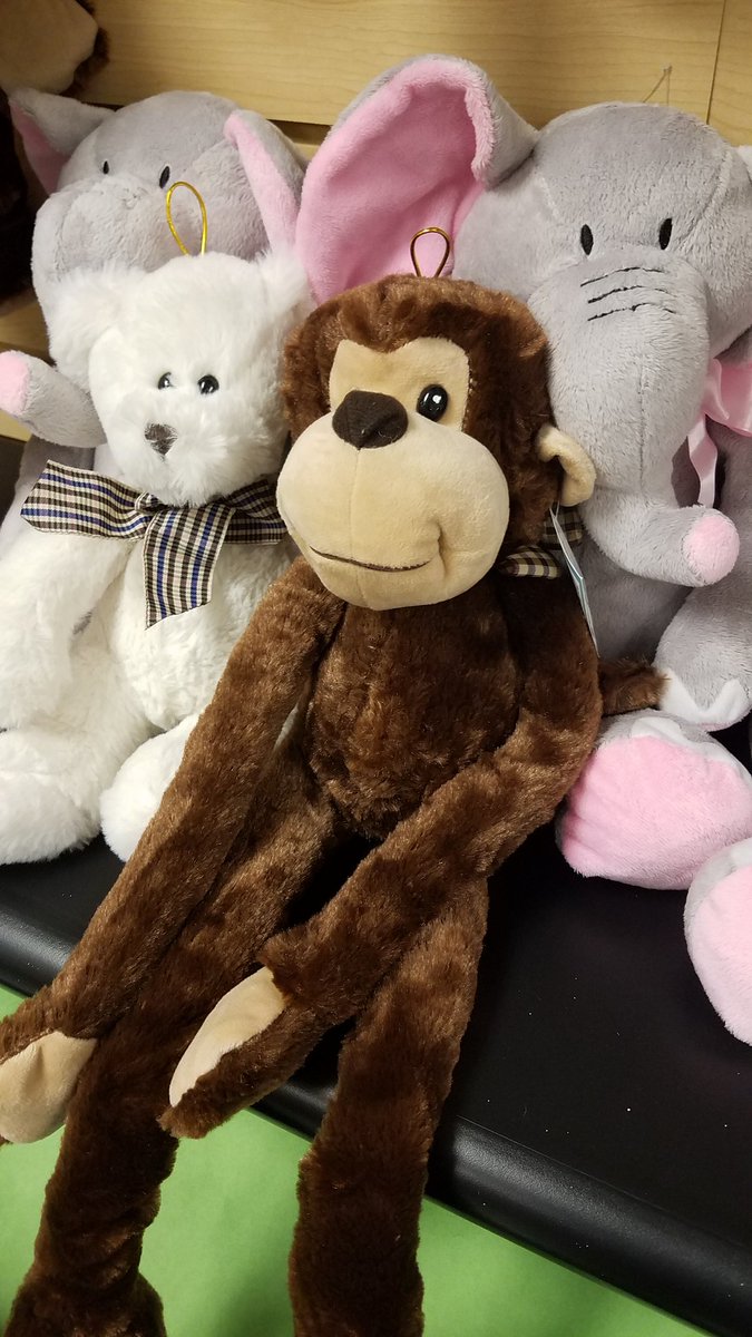 Don't forget to make your friend's balloon bundle even more special... add a stuffed animal!