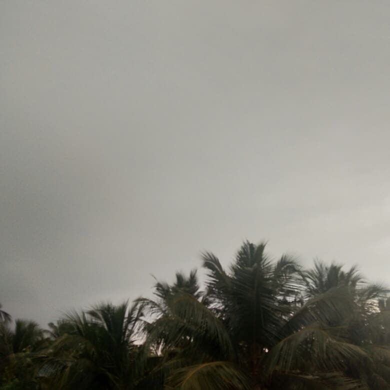 PreethiArasu13's tweet photo. Morning!!! https://t.co/3aLn444VVZ