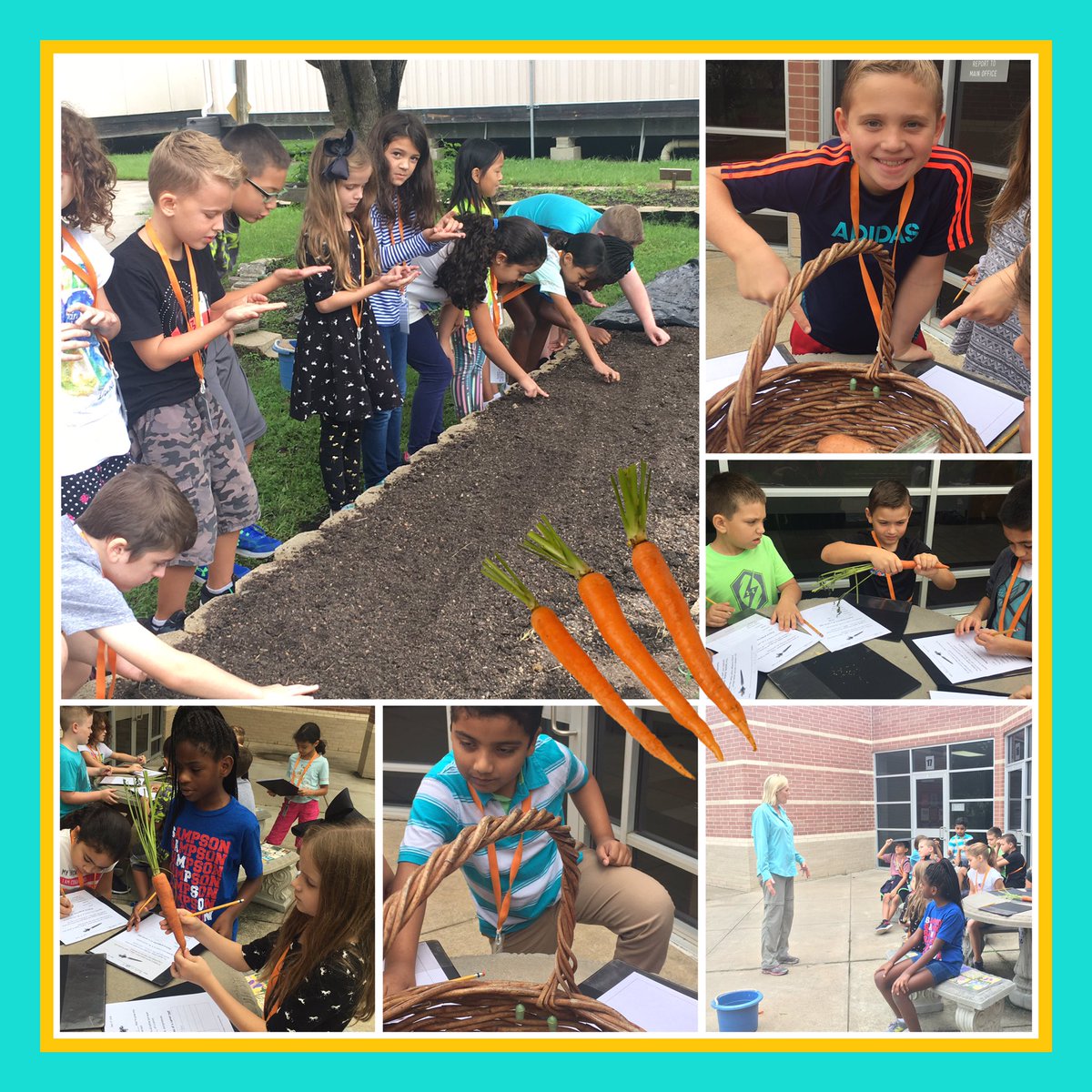 Sampson 3rd Grade tweet media