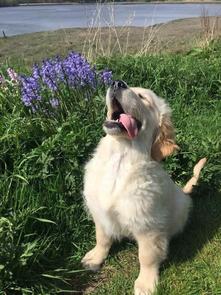 retrievans's tweet image. 