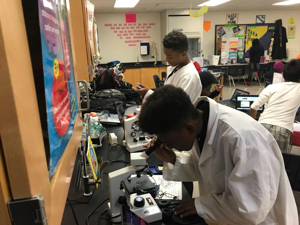 msgarden_edu's tweet photo. ❤ the scientific inquiry happening at the #WMSEmbassy in Ms. Woodbine's 7th Grade Life Science class! Her scientist are engaged &amp; eager to learn about cell structures in her class! #Welcome2TheEmbassy #ThrivingThirty #STEMStations @jasonjstamper https://t.co/tzAK2RQ8VG