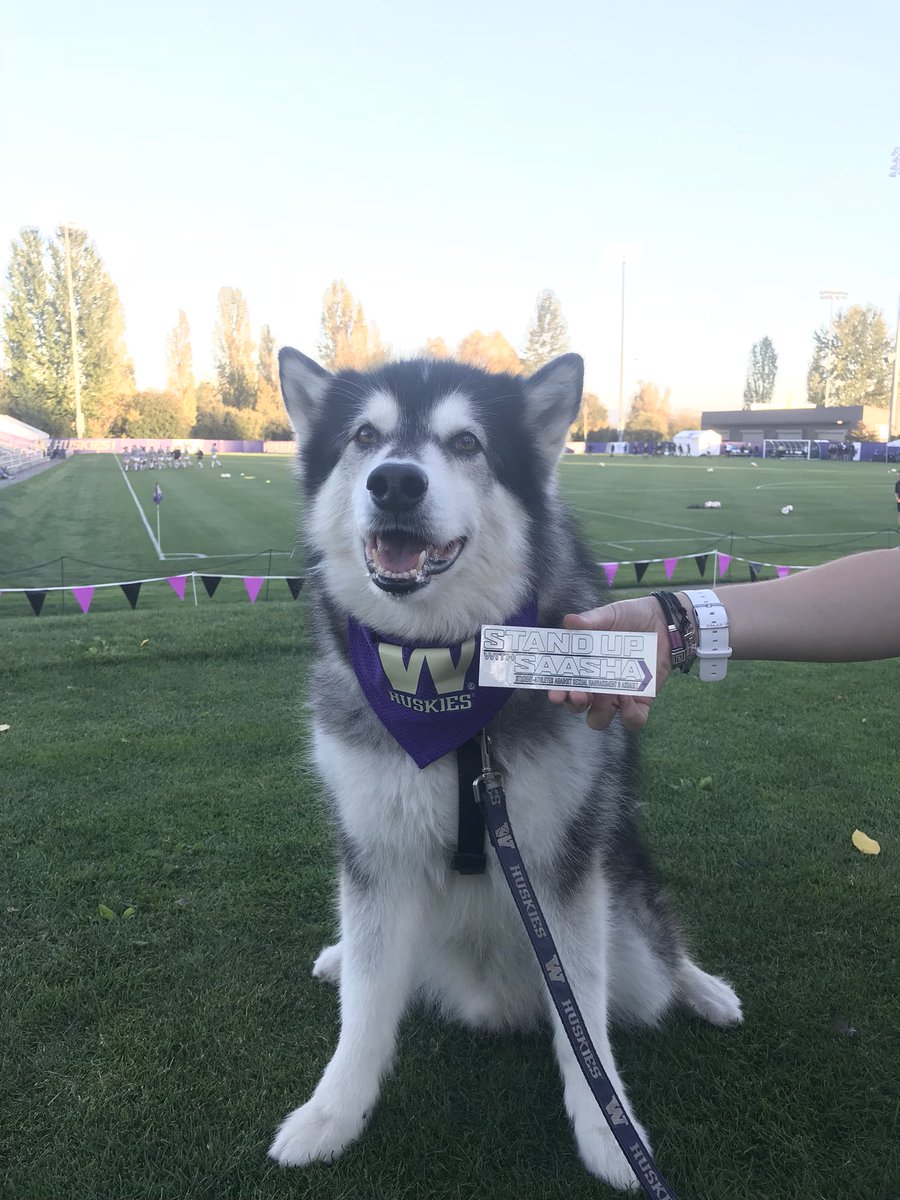 saasha_uw's tweet photo. Come out to the @UW_WSoccer game vs OSU at 7:00 and get a SAASHA sticker and maybe a pic with Dubs! https://t.co/jjyKbOIhgV