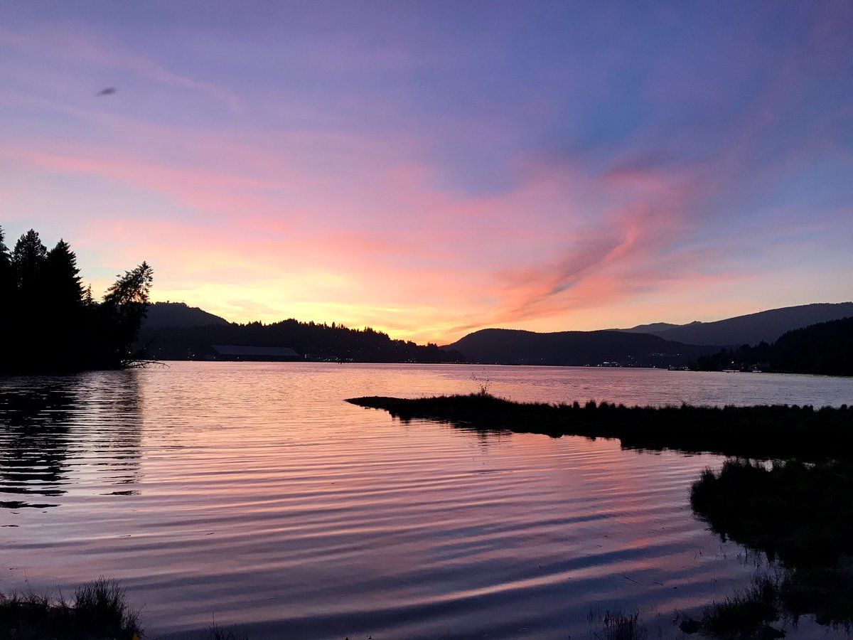 Chelseafogs's tweet image. sunset #nofilter