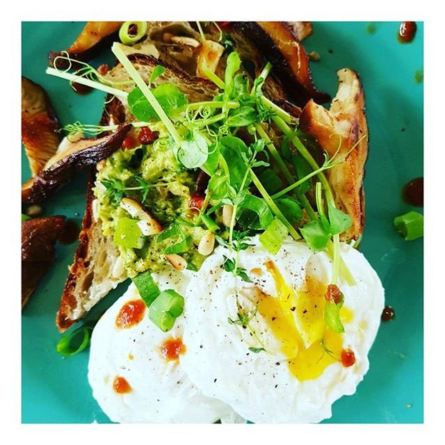 Doradimon's tweet photo. Reposting @ourhealthybellies:
Good morning beautiful ones! Our bellies and hearts are fulfilled this morning! They're saying thank you, for https://t.co/GSdc3wjpJx