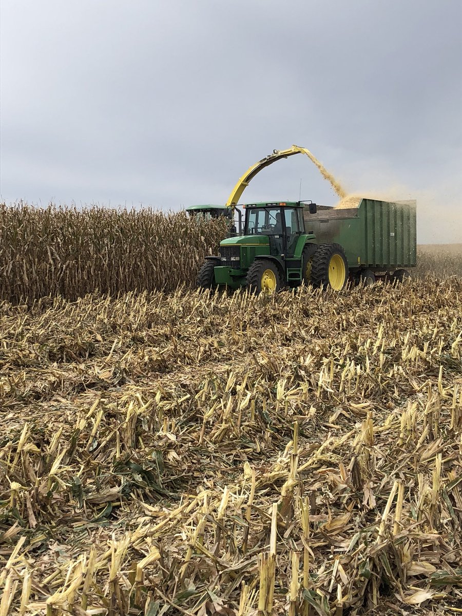 mduthe's tweet photo. @dave_uthe mowing through corn chopping earlage. Doing the no rain dance so we can keep the show moving! https://t.co/8qodN7WsRH