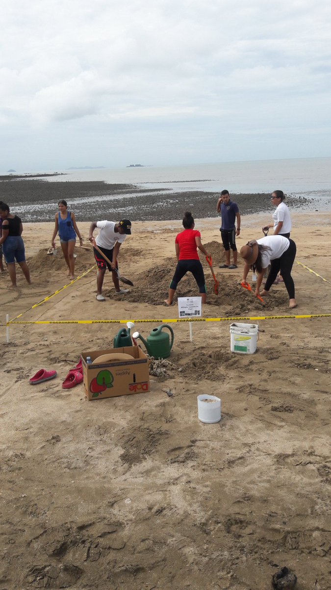 Leonard87642731's tweet photo. Participación de los estudiantes de media en el X11 CONCURSO DE FIGURAS DE ARENA en #PlayaVeracruz, obteniendo el 2° lugar otorgado por el Comité del Mes de los Océanos. #PanamáOeste #Chame #MesDeLosOcéanos #Leonardistas https://t.co/S3JC5YxJoY