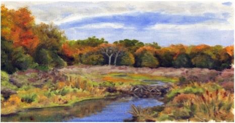FOMP14's tweet photo. This Saturday only!
Art in The Massasauga Workshop
Come join noted Author and Illustrator Fiona Reid for a half day of sketching, drawing and painting.
Sat. Sept 29
1 to 4pm
Calhoun's Lodge, Blackstone Harbour
Tickets purchased online: 
$15 for members
$25 for non-members
Share! https://t.co/8zOTycGA4m