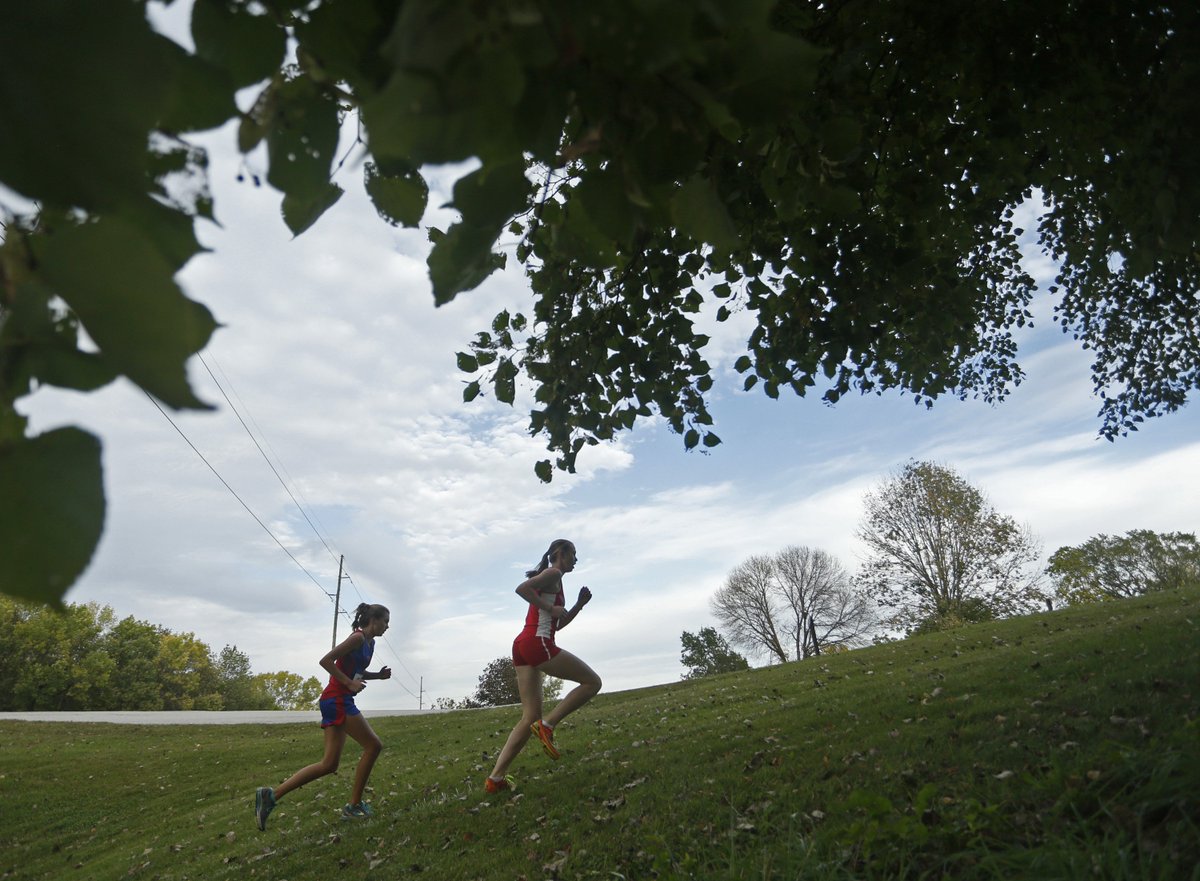 jeffcook58's tweet photo. Runners from North, Central and West get an early lead during the City Cross Country Meet in Davenport, Iowa. @DAVWestFalcons  @DavNorthXC @DC_TnF  . https://t.co/6uZ64Otcfv
