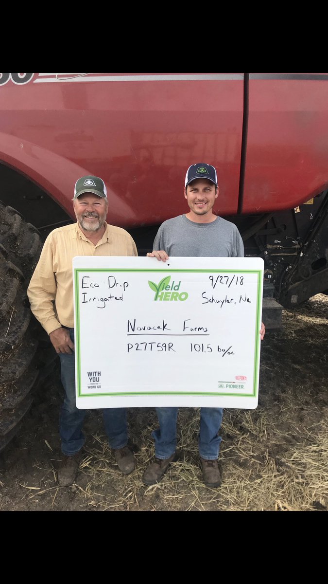 Serious yields in Schuyler, NE!  Thanks Novacek Farms!  #YieldHero @PioneerNebr