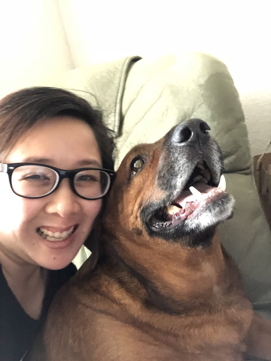 stephlpham's tweet photo. My dog learning the news that @kenjeong is the new lead in the Occupation sequel. Is it safe to say it’s #AsianDomimation season? #AkwafinaSNL #CrazyRichAsians #AsianAvengers #KenIsSuperman https://t.co/kcwZb3hz2G