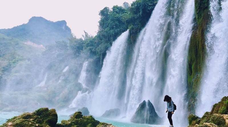 VietMedia01's tweet photo. Beautiful nature. Be inspired. Visit Vietnam.
=========================
You don't need magic to disappear, all you need is a destination.
=========================
COME AND ENJOY THE UNIQUE OF VIETNAM!

@VietMedia01 #traveltoindochina https://t.co/YG4vp1l57M