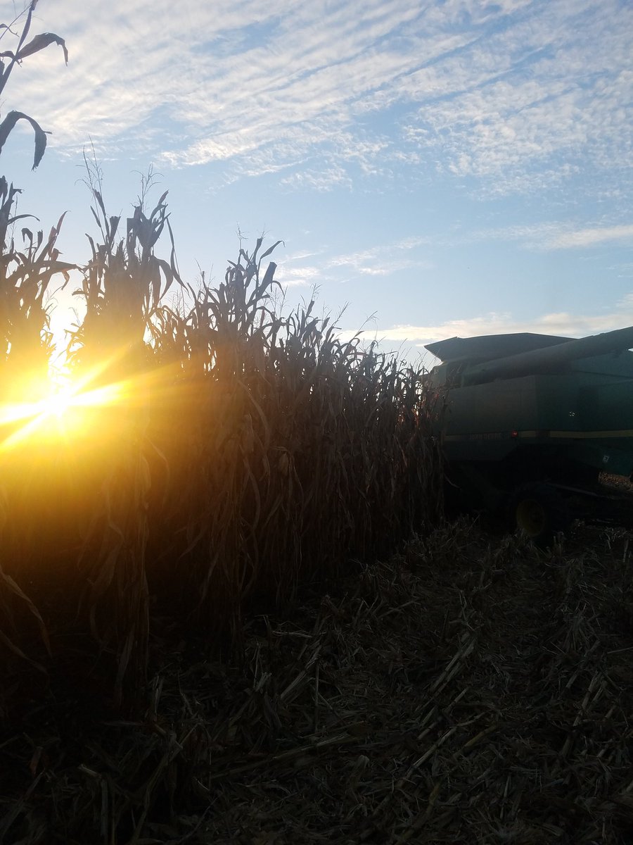 AGofTheWorld's tweet photo. Who has harvest pictures to share?? Let's see them! https://t.co/qTkIAPFtrW