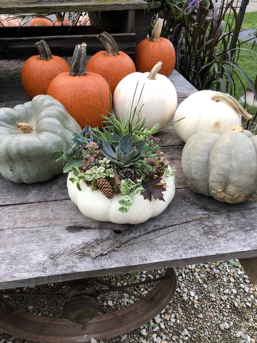 Fall is a beautiful time of year. ❤️