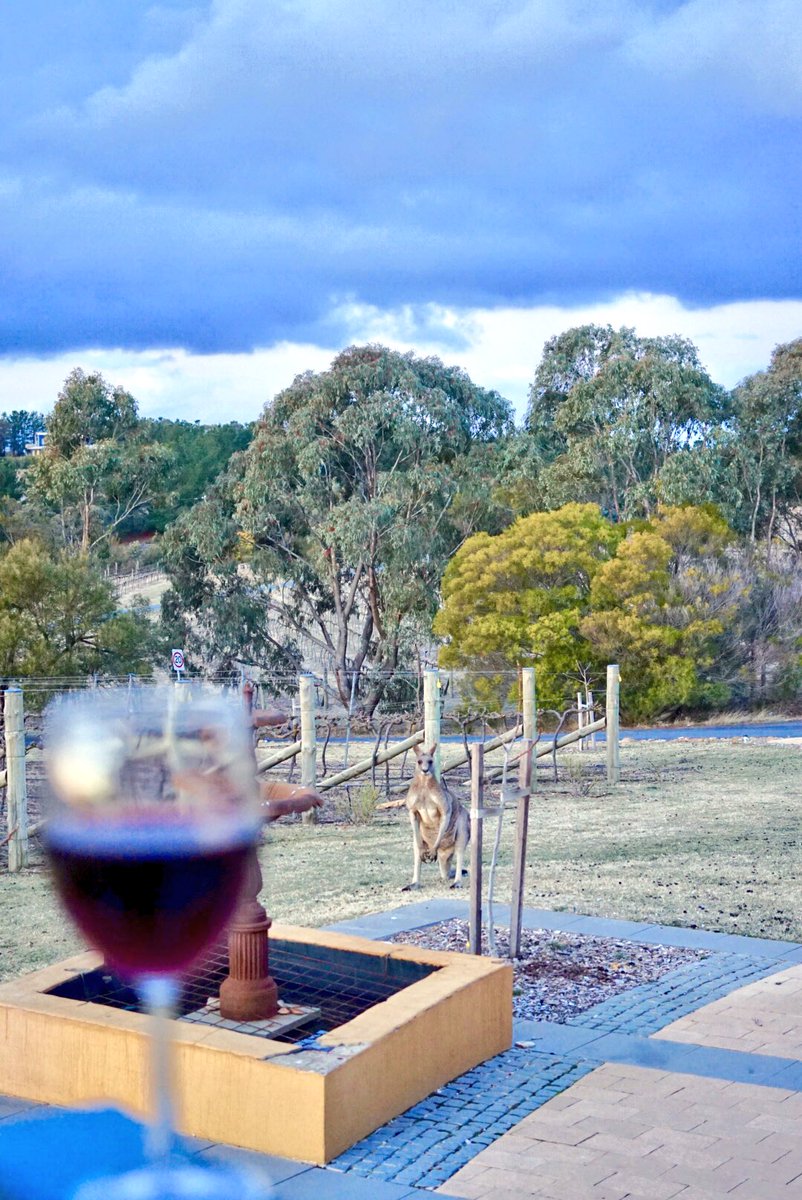 thefoodmarshall's tweet photo. Want a long weekend of good food and wine? You’d better hop to it then before the locals get to it first #contentiouscharacter #canberrawines https://t.co/Z6ZbvuHvoG