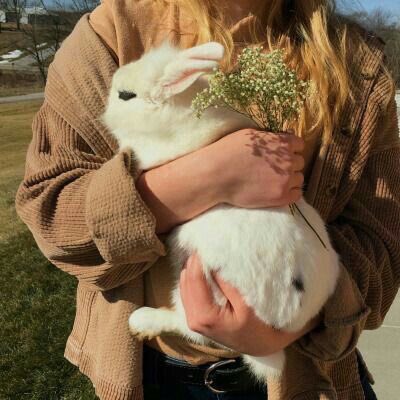 ฟอลฟรีน้อนกระต่าย🐰LA tweet media