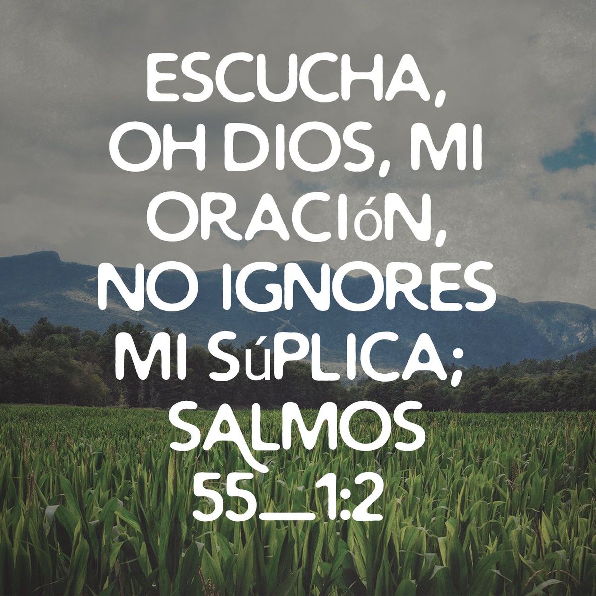Resultado de imagen para salmos 1:2