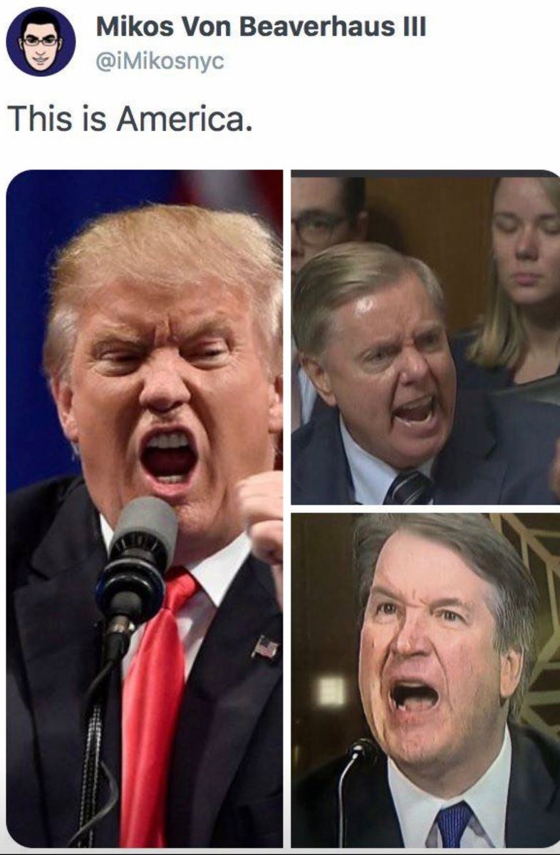 Blue Texan tweet media
